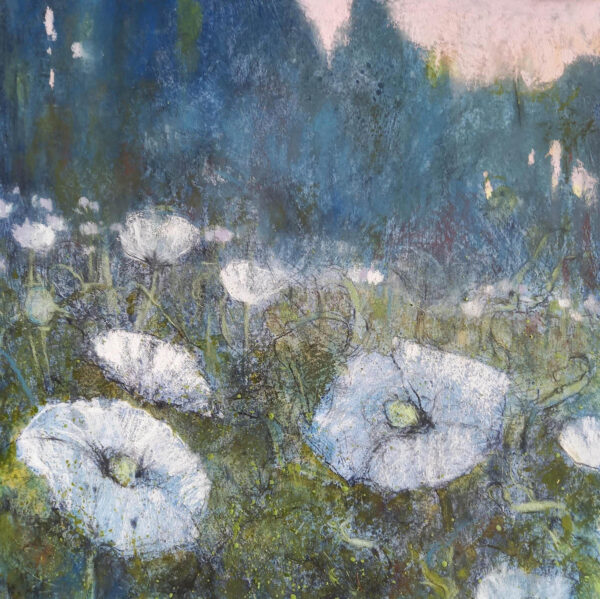 Evening Poppies